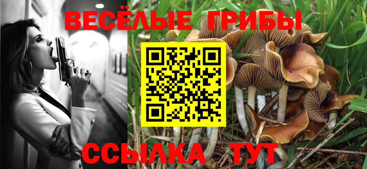 Псилоцибиновые грибы GOLDEN TEACHER Чапаевск