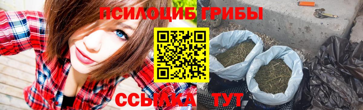Чапаевск  Псилоцибиновые грибы Psilocybe  Галлюциногенные грибы мицелий  Вход с VPN 